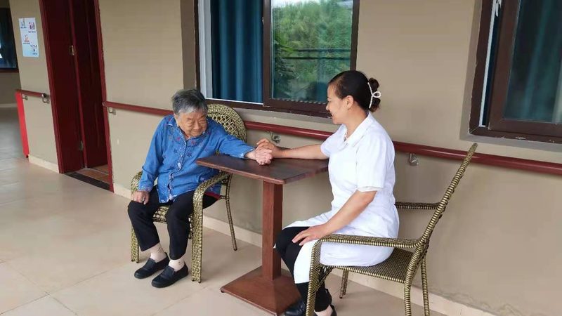 养老院护理机器人：揭秘其型号与规格背后的技术奥秘